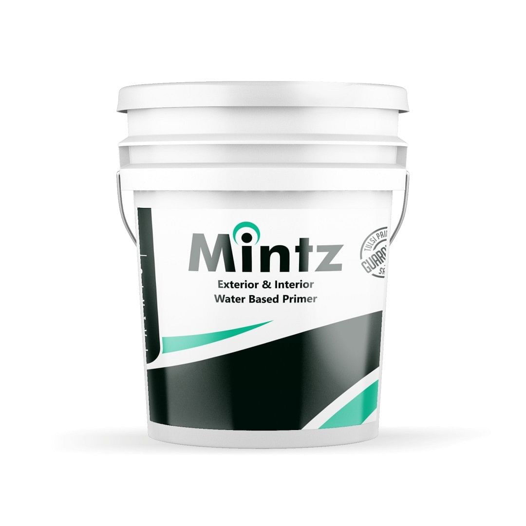 Mintz Ext & Int Primer 20 Ltr