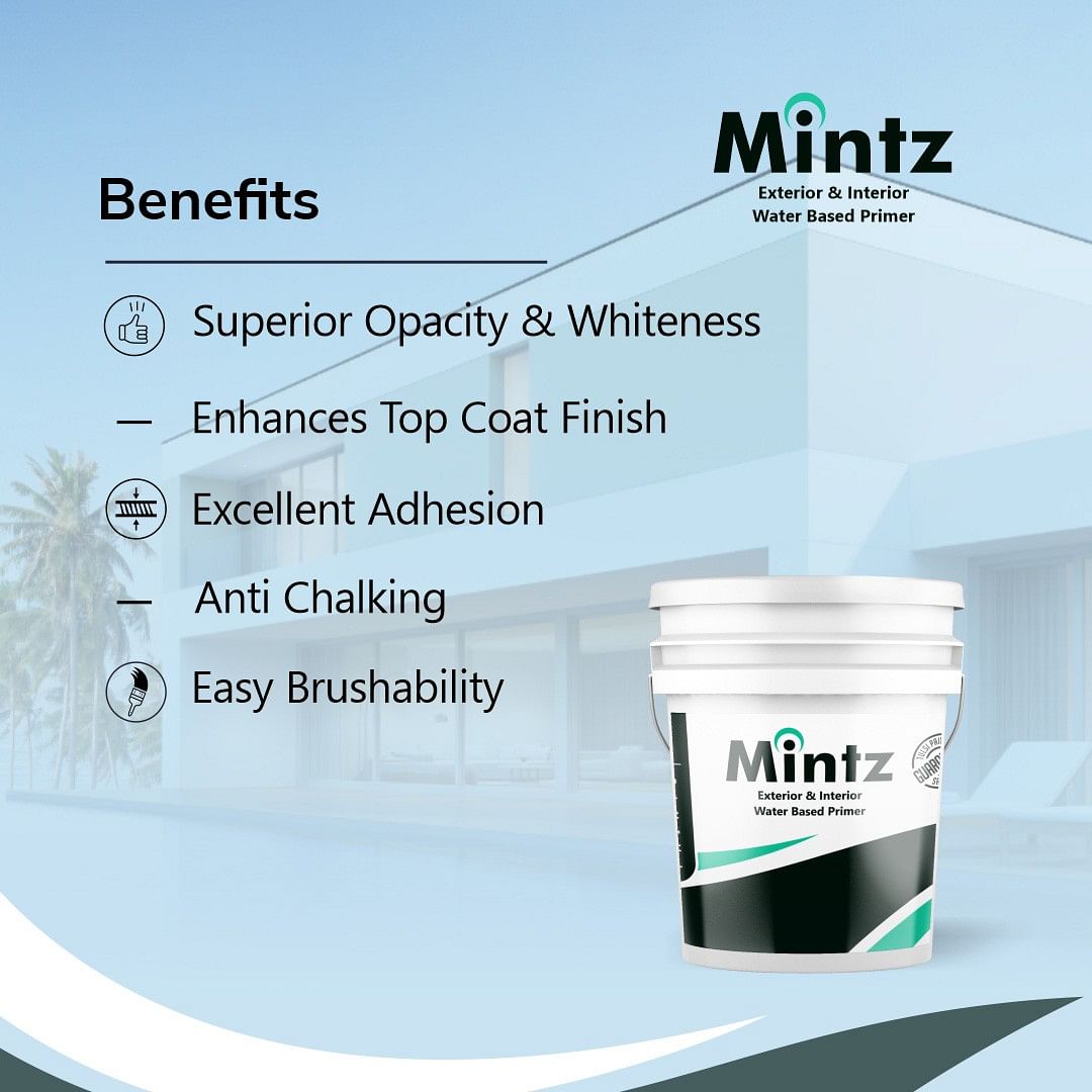 Mintz Ext & Int Primer 20 Ltr