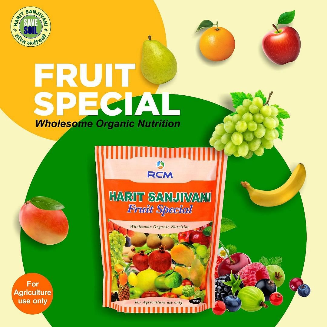 Harit Sanjivani Fruit special, 500 g