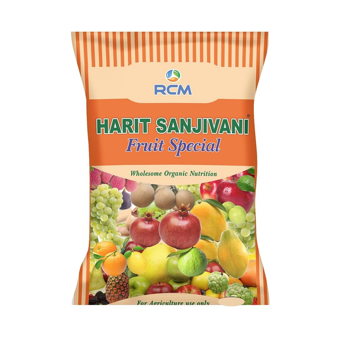 Harit Sanjivani Fruit special, 500 g