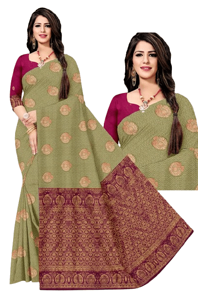 Authenzaa Women Saree ASWS061 Skin 