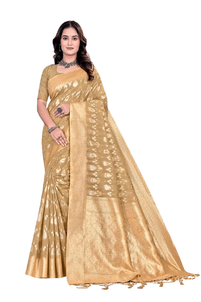 Authenzaa Women Saree YIWS045 Brown 