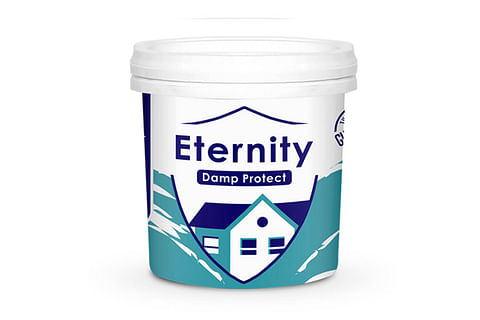 Tulsi Paint Eternity : Damp Protect 01 Ltr