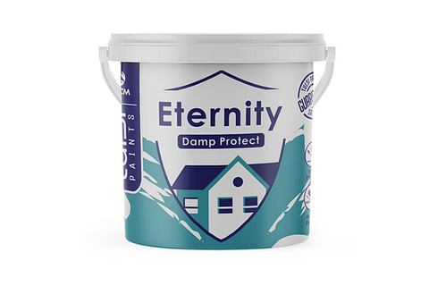 Tulsi Paint Eternity : Damp Protect 04 Ltr