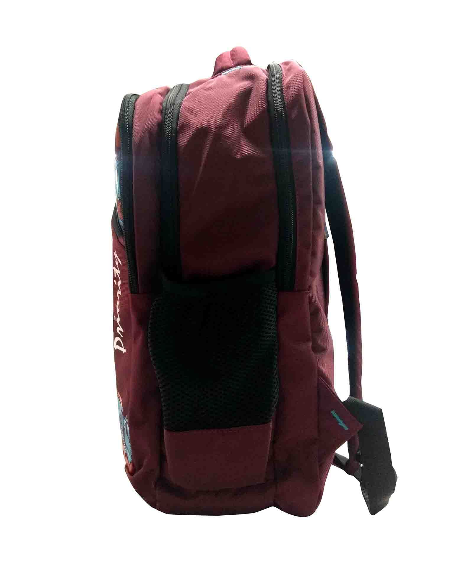 HS HIPPIE 01 -MAROON/BLUE Backpack Bag