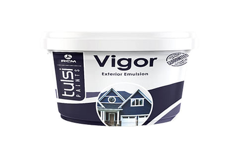 Tulsi Paint Vigor Exterior Emulsion 200 ml (Base 01)